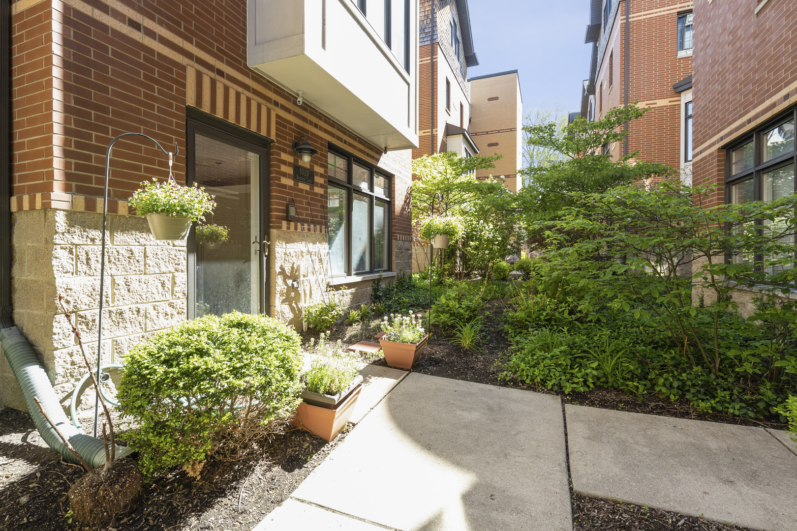 1029 Baldwin Lane Oak Park, IL 60302 - Photo 3 of 38