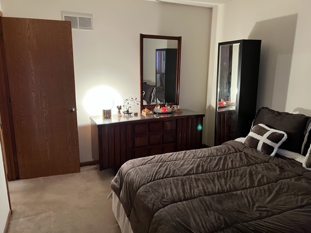 30 Red Barn Road Matteson, IL 60443 - Photo 27 of 34 a bedroom with a bed and a dresser