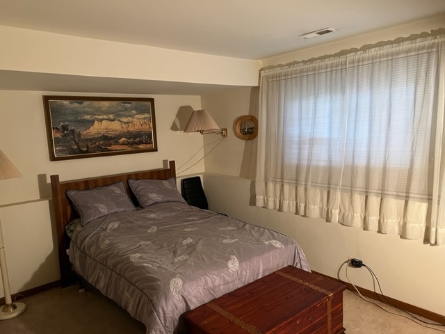 30 Red Barn Road Matteson, IL 60443 - Photo 28 of 34 a bedroom with a large bed and a window