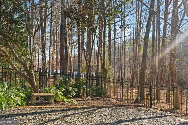 a view of a backyard with potted plants and large trees