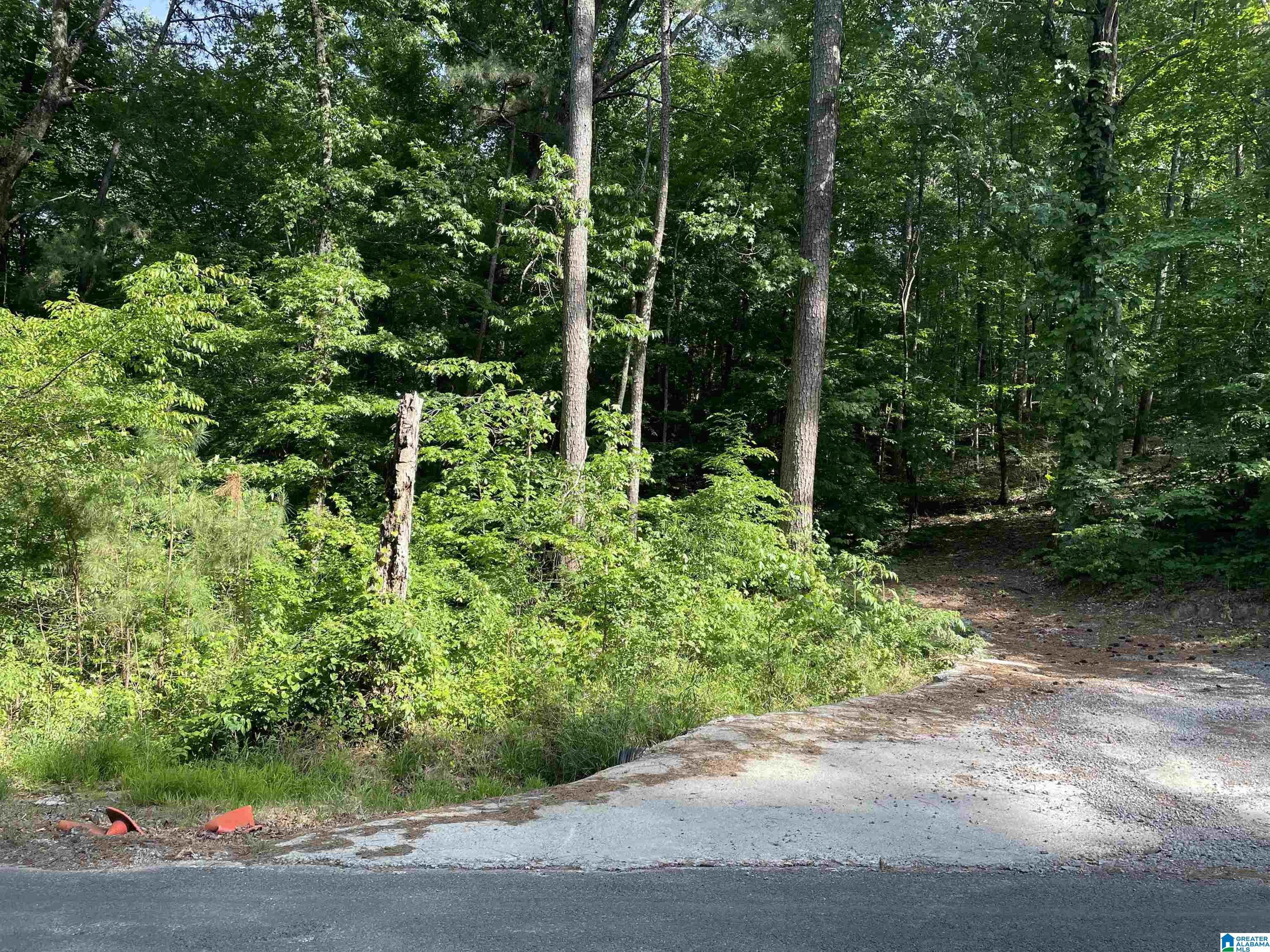 0 Sportsman Lake Road, Unit 1 Springville, AL 35146 - Photo 2 of 24