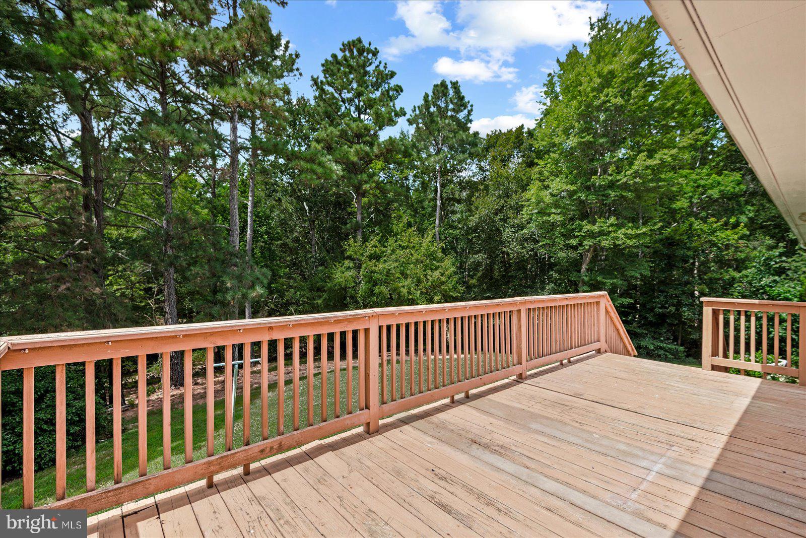 14433 Devils Three Jump Road Milford, VA 22514 - Photo 24 of 34 Deck