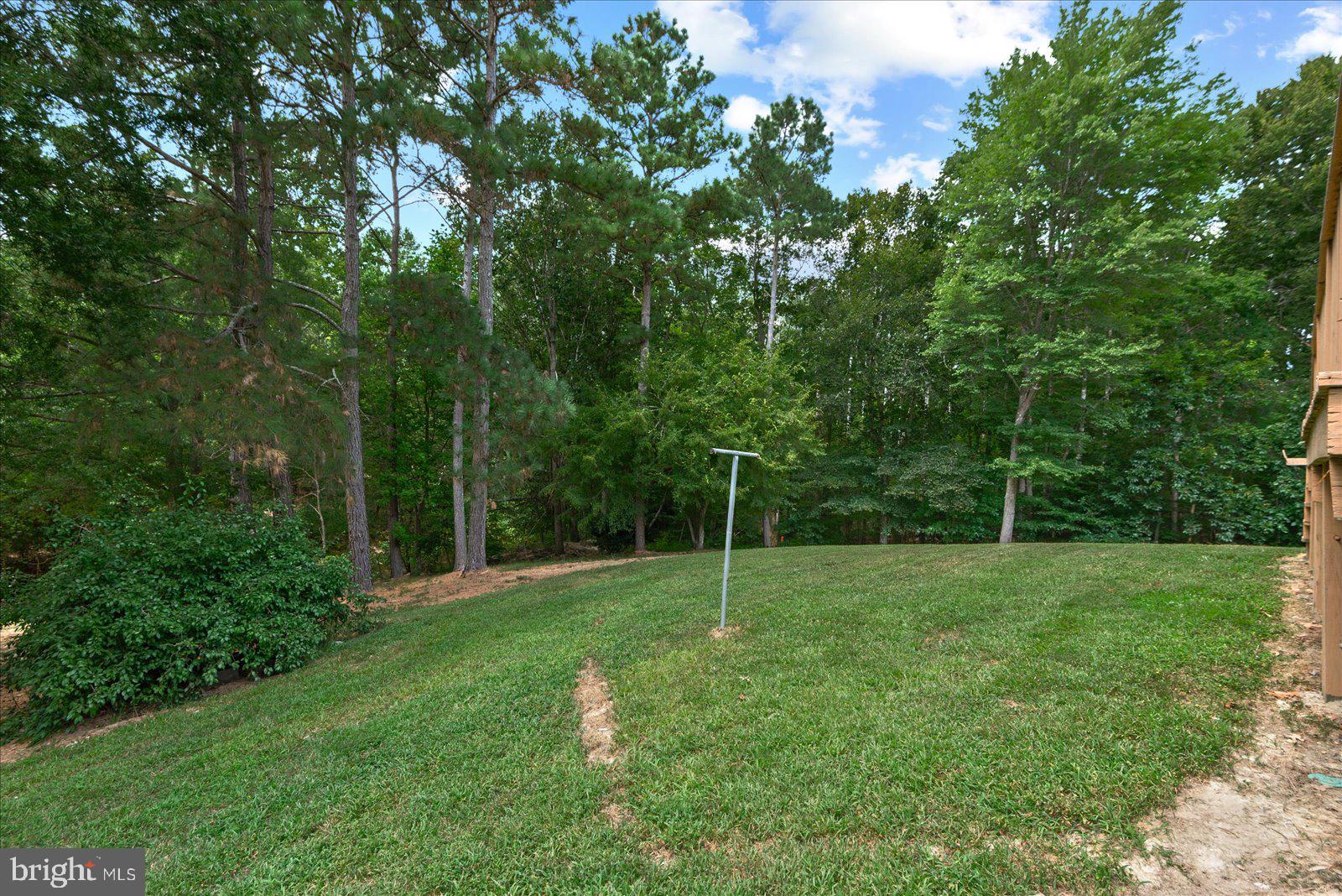 14433 Devils Three Jump Road Milford, VA 22514 - Photo 30 of 34 Back yard