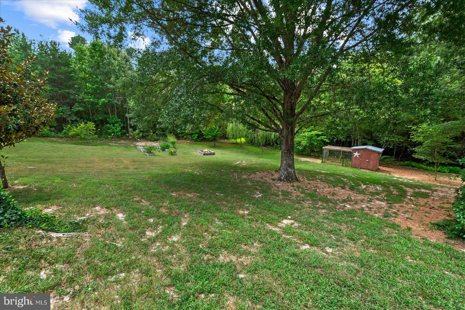 14433 Devils Three Jump Road Milford, VA 22514 - Photo 33 of 34 Back yard and chicken house