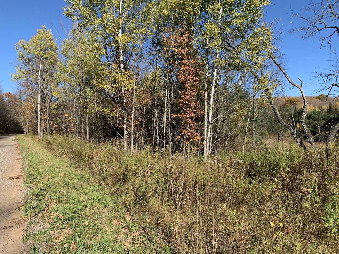 On Military Road, Unit 61 ACRES Eagle River, WI 54521 - Photo 10 of 17 Gallery Image 10
