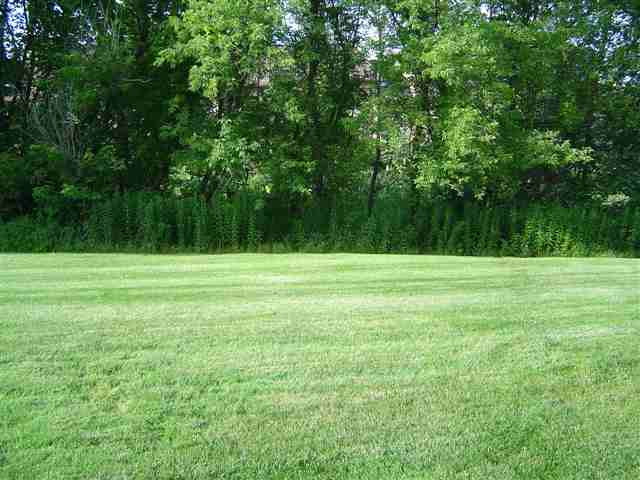 15 Harvard Road Colonie, NY 12189 - Photo 4 of 9 Photo 4