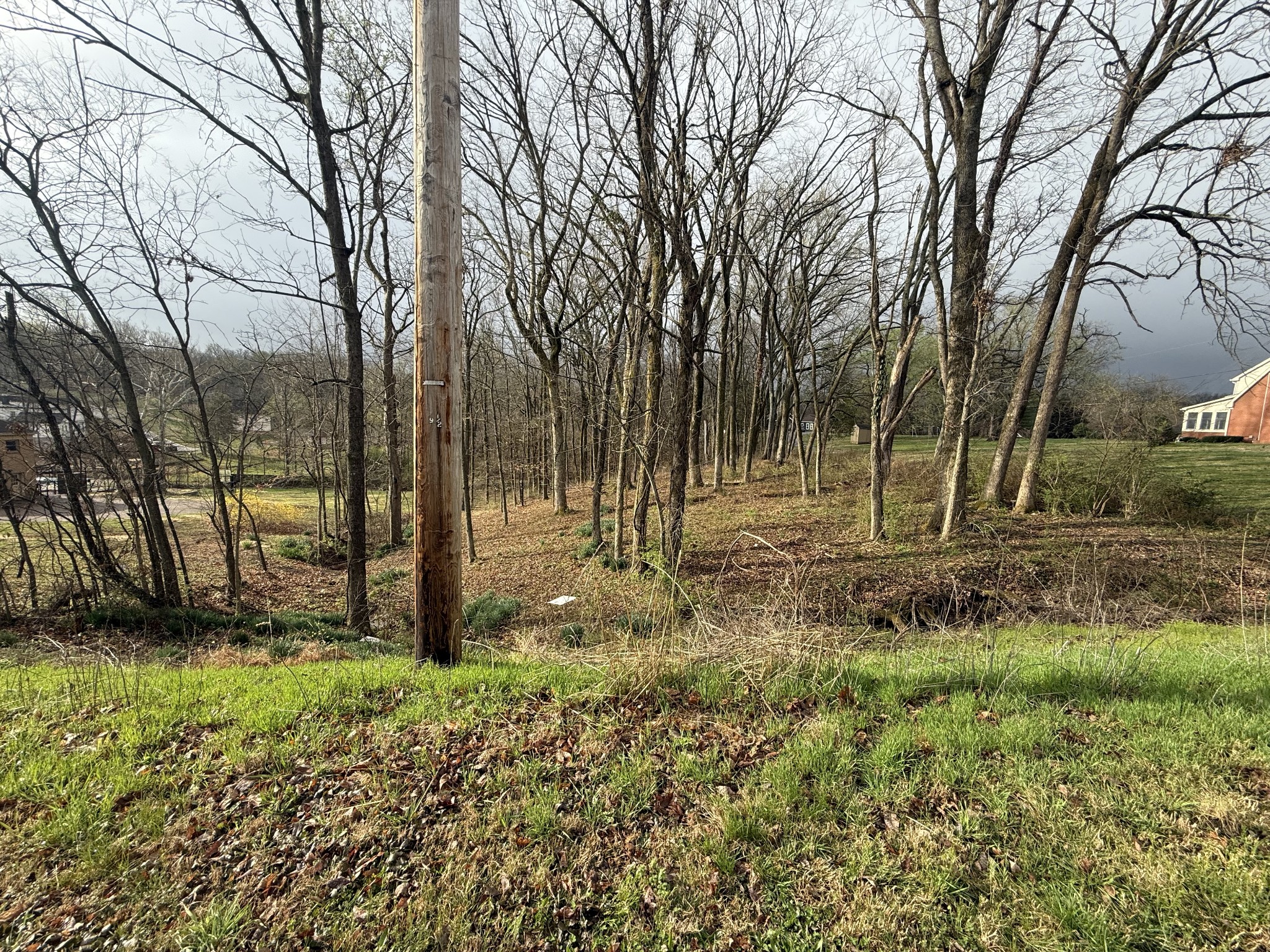 a view of backyard with green space