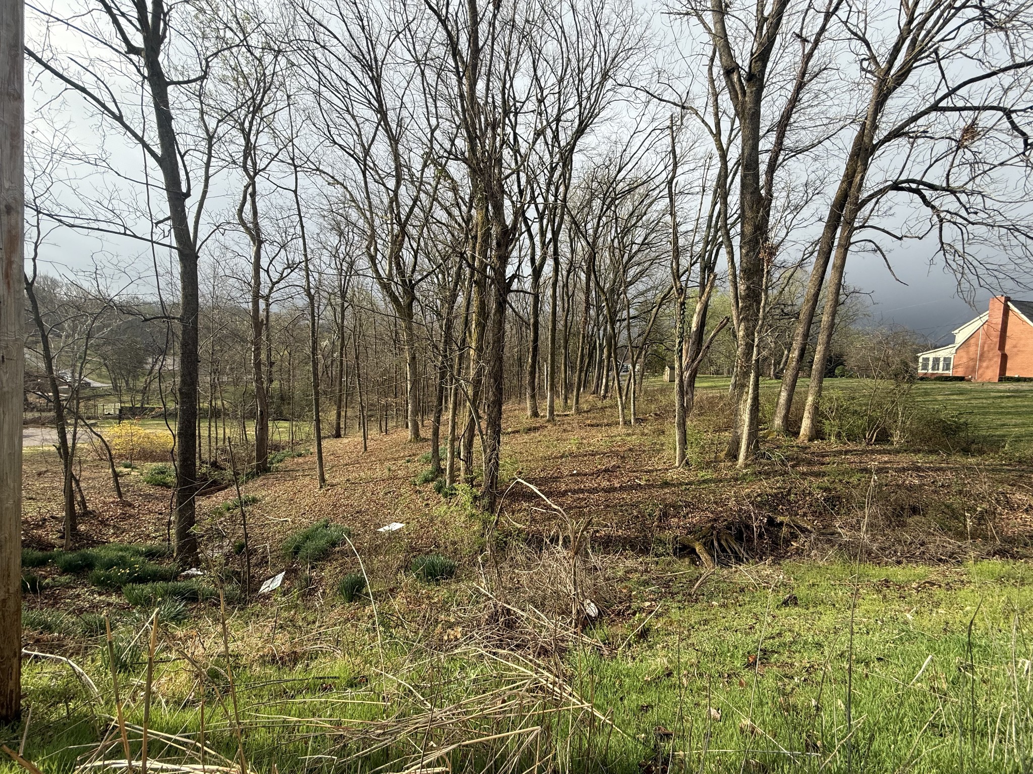 1930 Arlington Road Lebanon, TN 37087 - Photo 11 of 24 a view of a yard with large trees