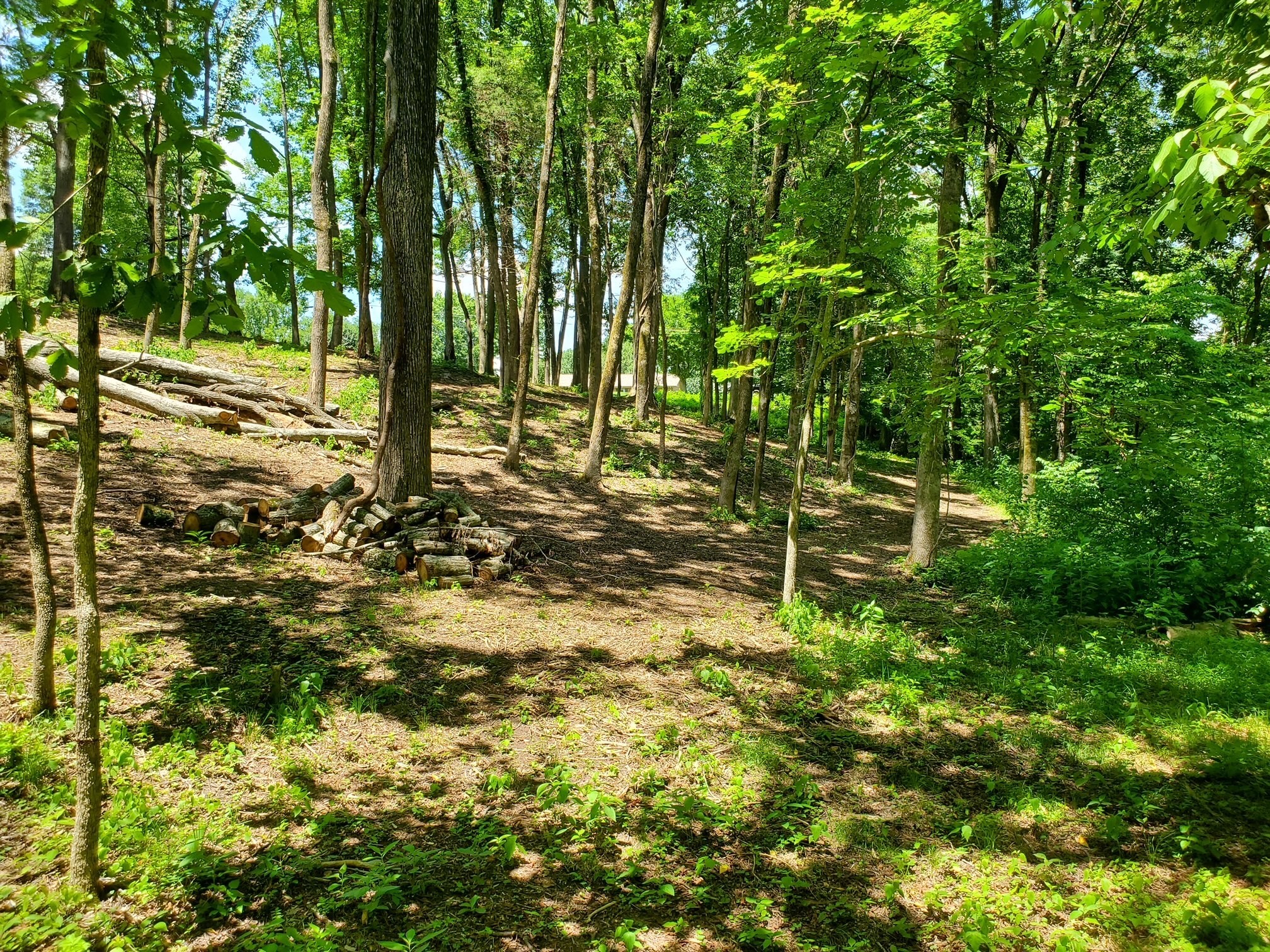 1930 Arlington Road Lebanon, TN 37087 - Photo 12 of 24 a view of outdoor space and yard