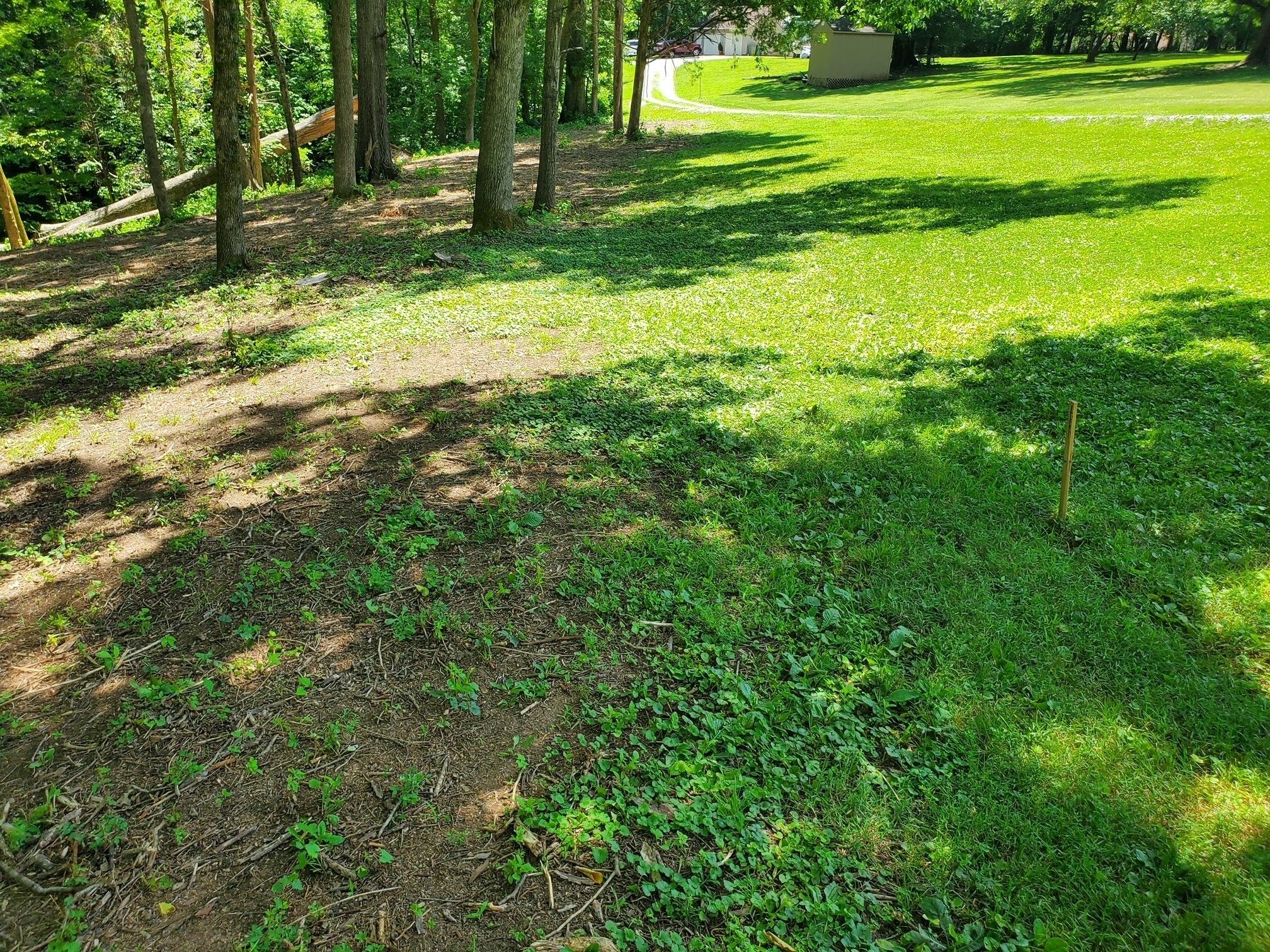 1930 Arlington Road Lebanon, TN 37087 - Photo 17 of 24 a view of a trees in a yard