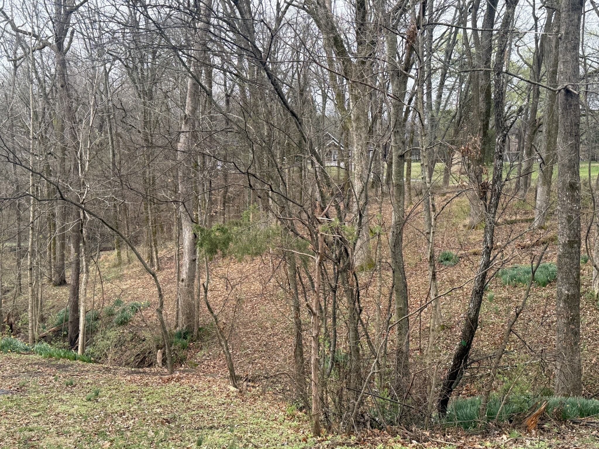 1930 Arlington Road Lebanon, TN 37087 - Photo 20 of 24 a backyard of a house with lots of green space