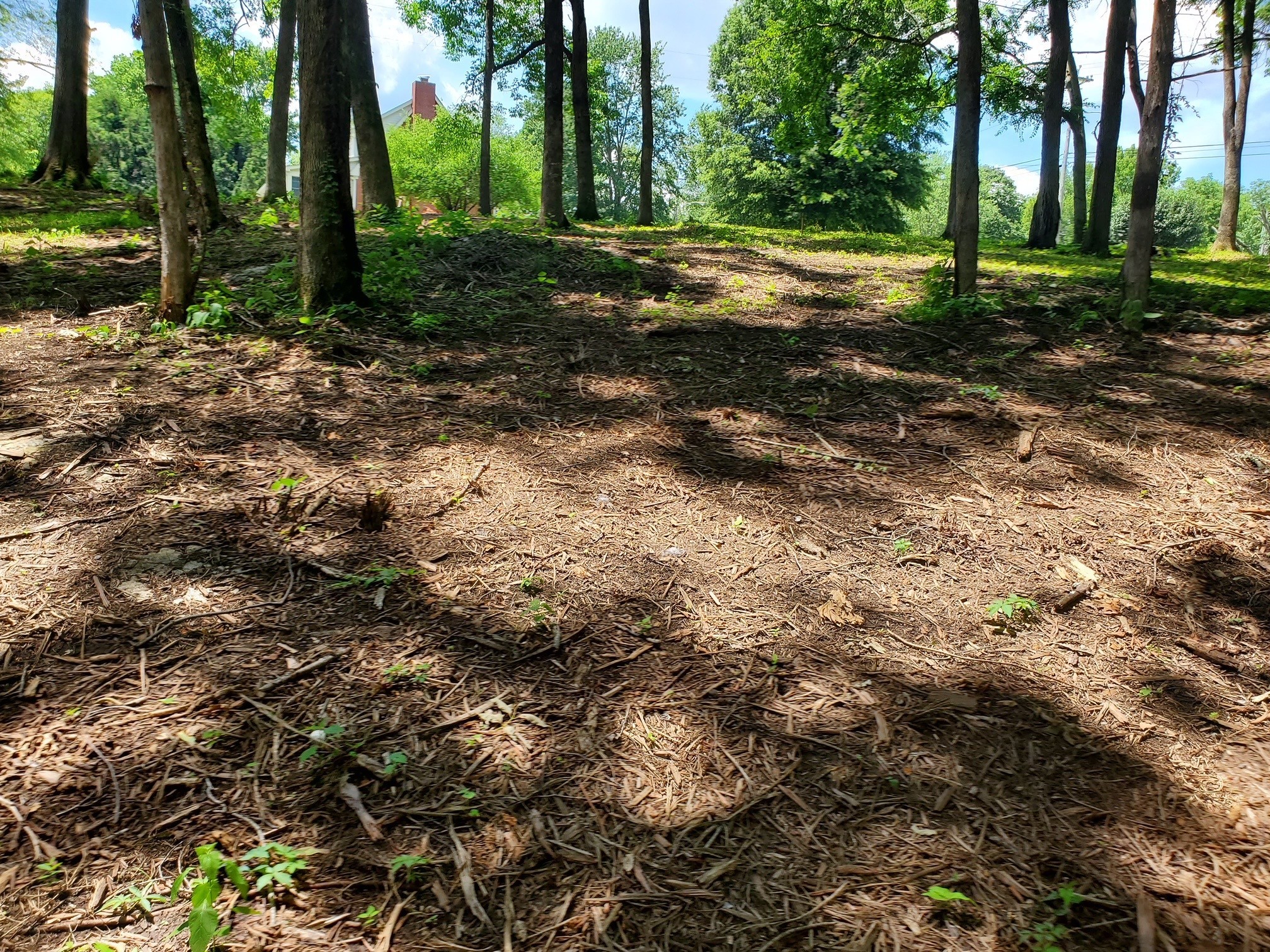 1930 Arlington Road Lebanon, TN 37087 - Photo 2 of 24 a view of a park that has large trees