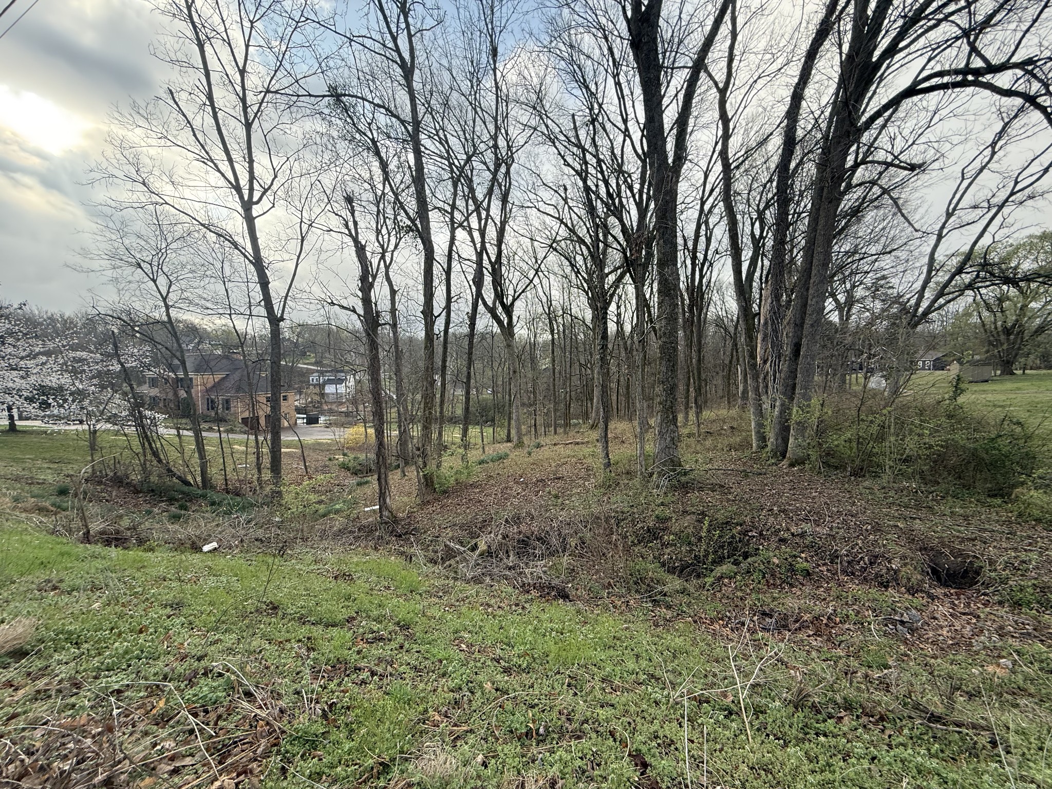 1930 Arlington Road Lebanon, TN 37087 - Photo 21 of 24 a view of outdoor space with trees all around