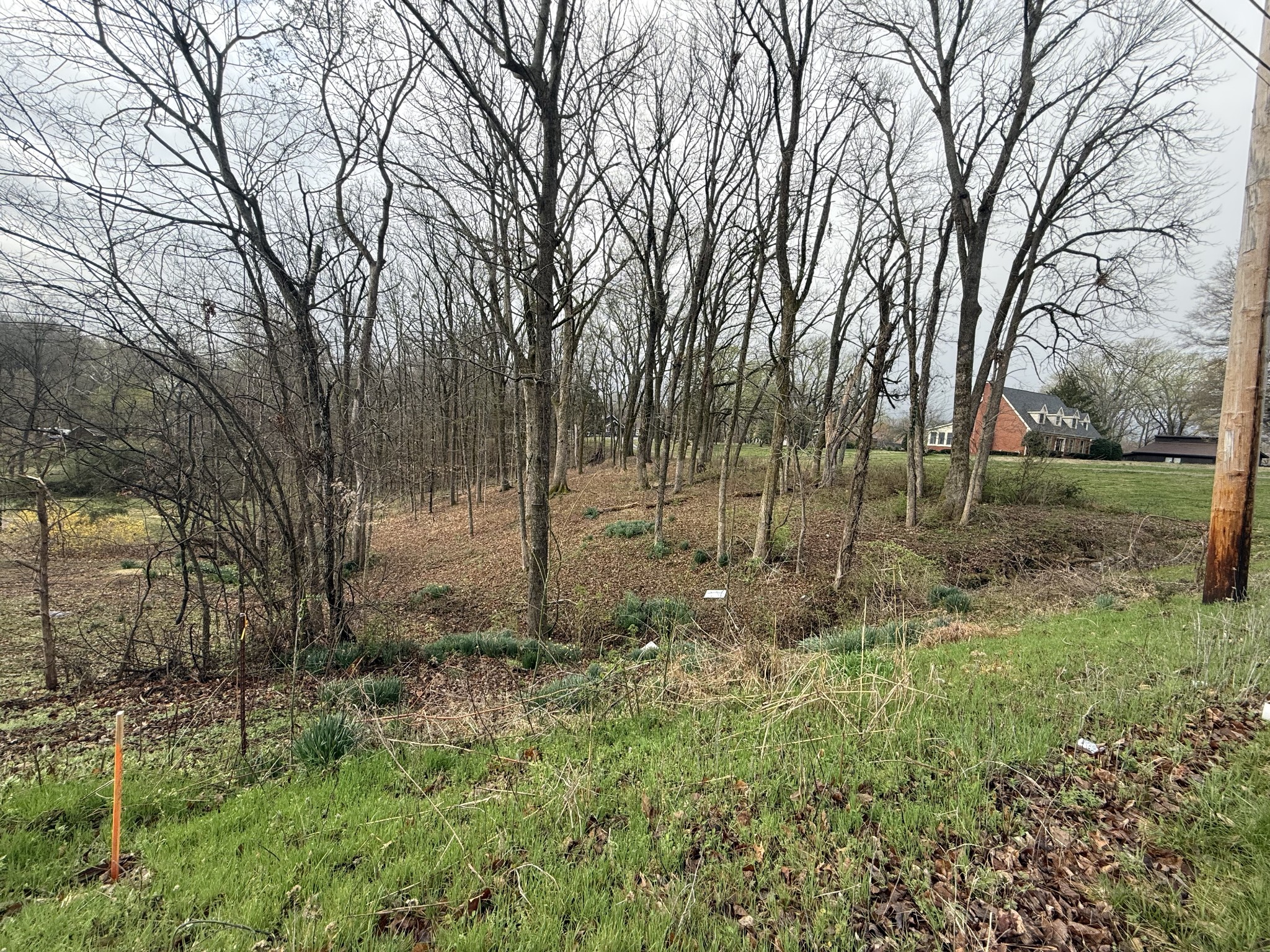 1930 Arlington Road Lebanon, TN 37087 - Photo 22 of 24 a view of a park that has large trees