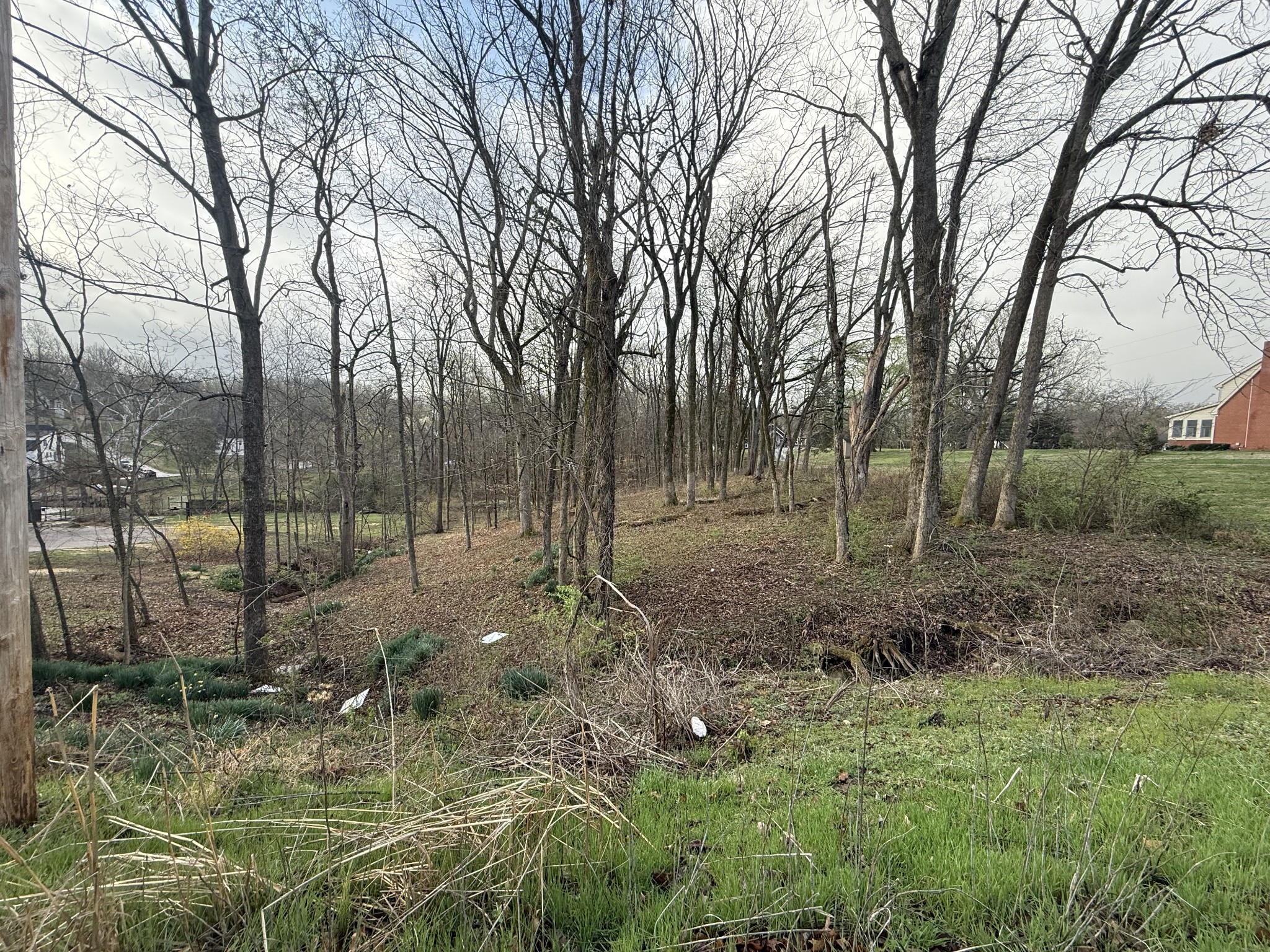 1930 Arlington Road Lebanon, TN 37087 - Photo 23 of 24 a view of outdoor space with trees