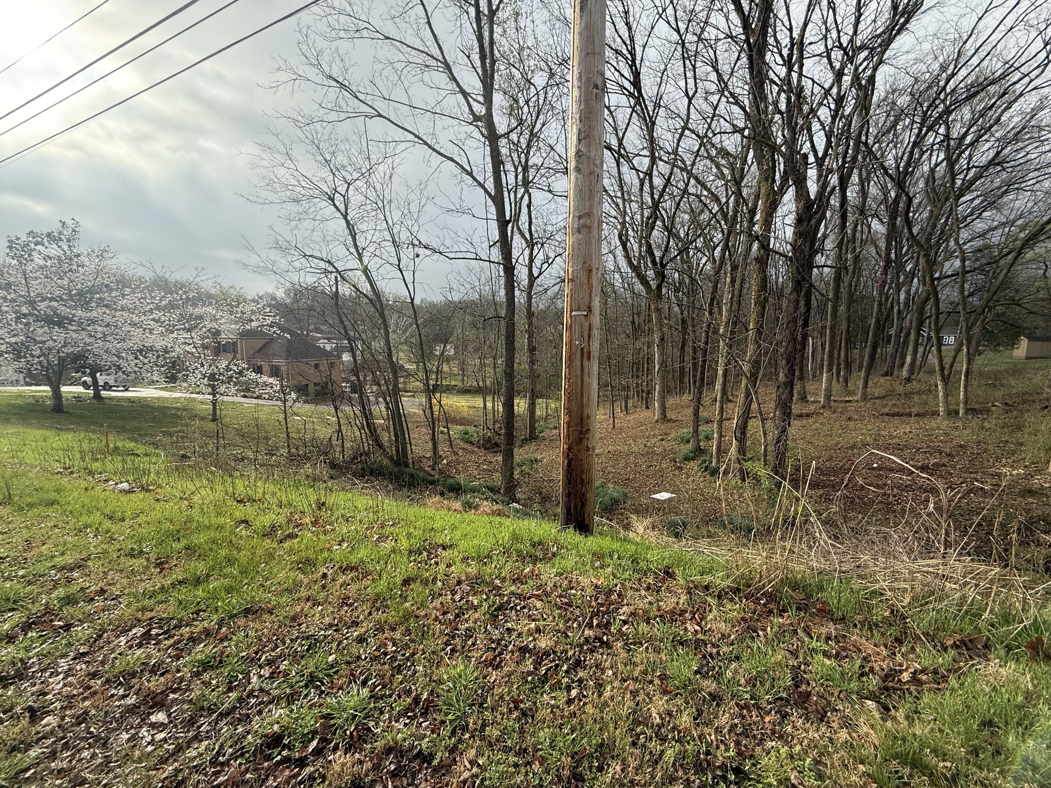 1930 Arlington Road Lebanon, TN 37087 - Photo 24 of 24 a view of a yard with large trees