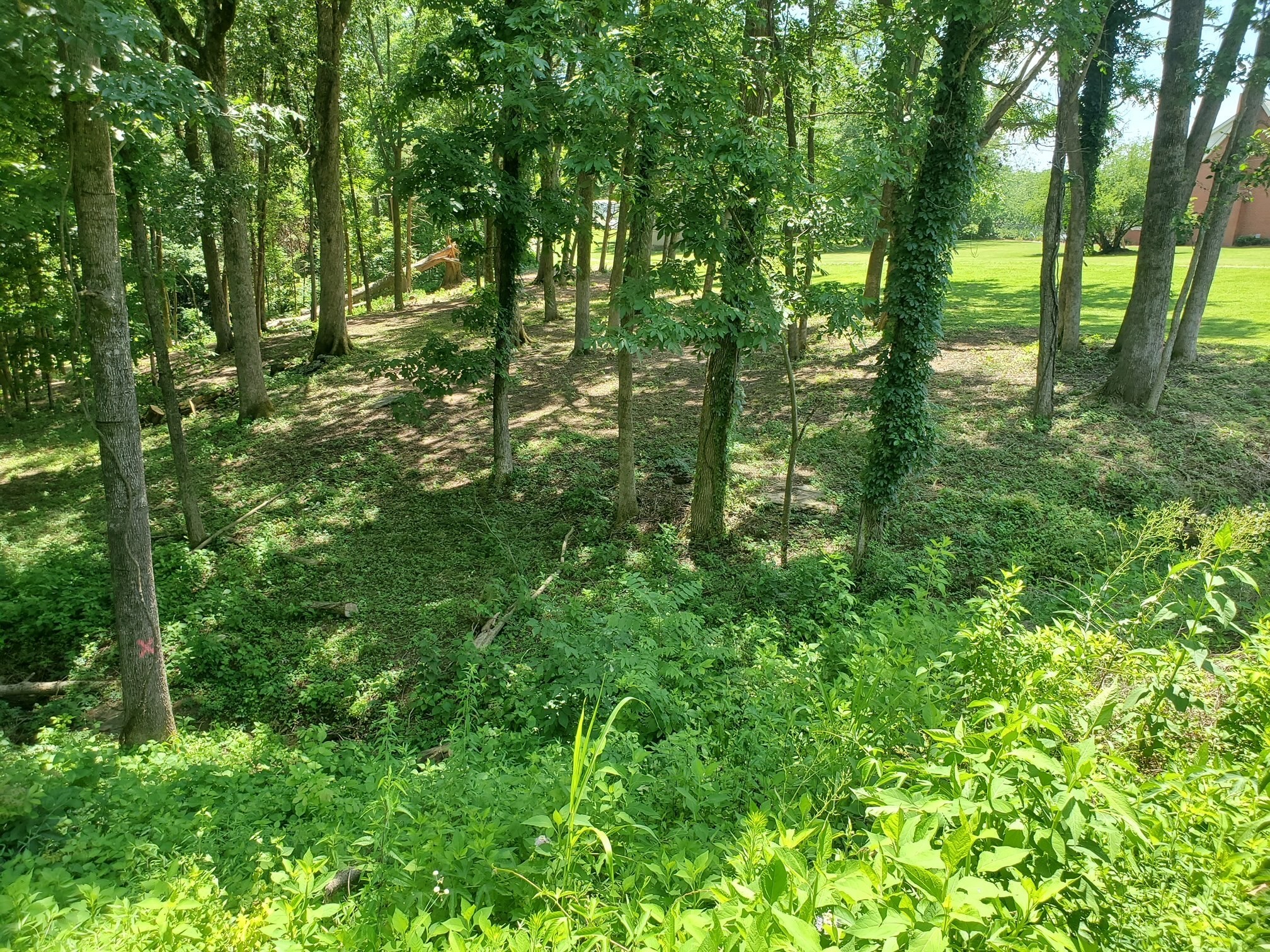 1930 Arlington Road Lebanon, TN 37087 - Photo 3 of 24 a view of outdoor space with lots of trees