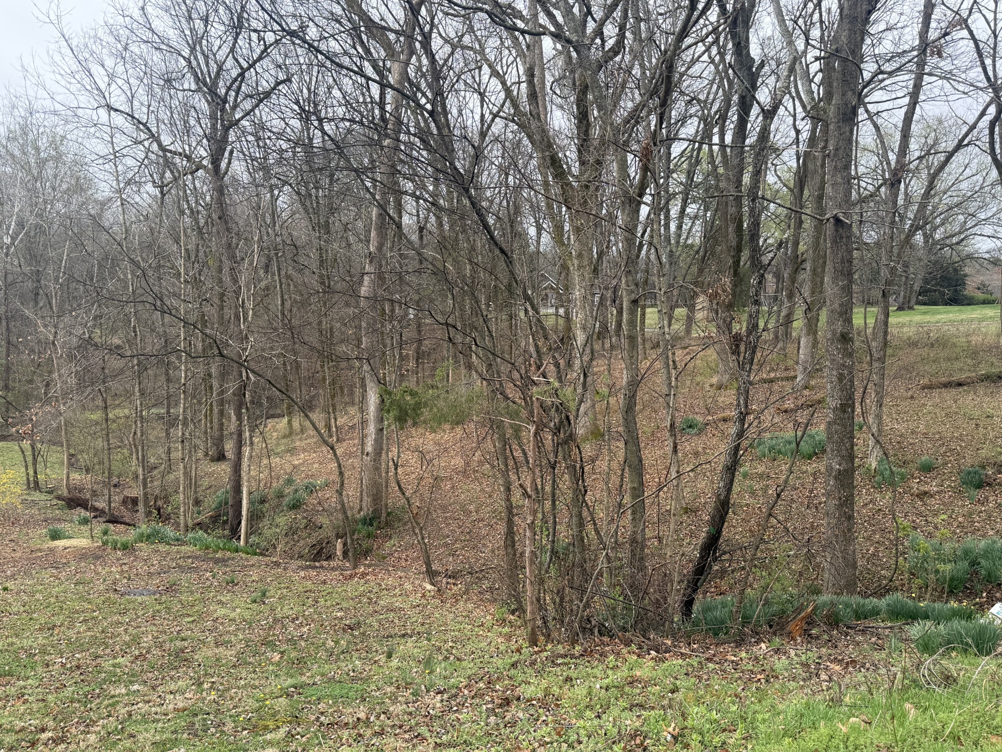 1930 Arlington Road Lebanon, TN 37087 - Photo 4 of 24 a backyard of a house with lots of green space