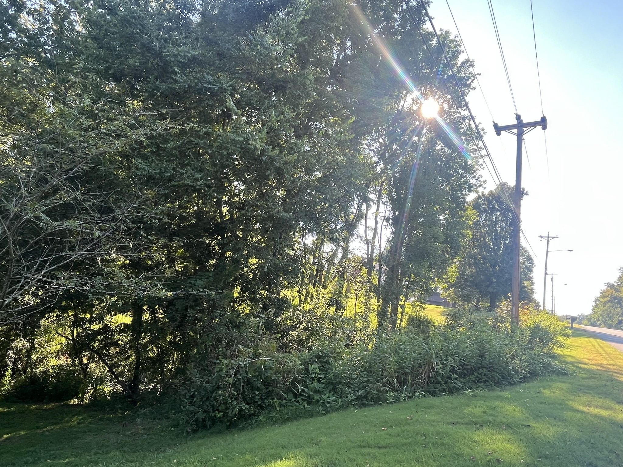 1930 Arlington Road Lebanon, TN 37087 - Photo 6 of 24 a view of yard with green space