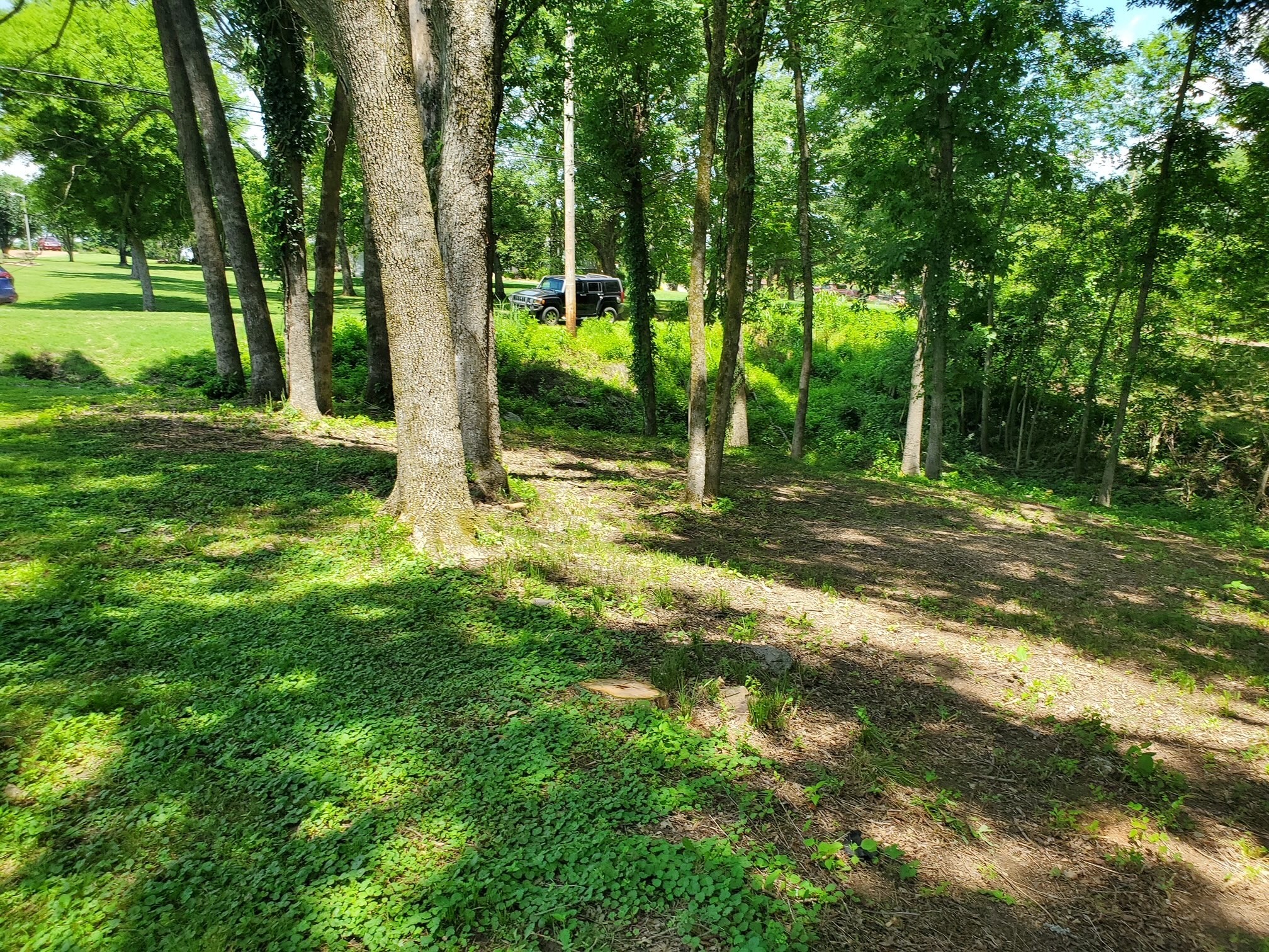 1930 Arlington Road Lebanon, TN 37087 - Photo 7 of 24 a view of a yard with a tree