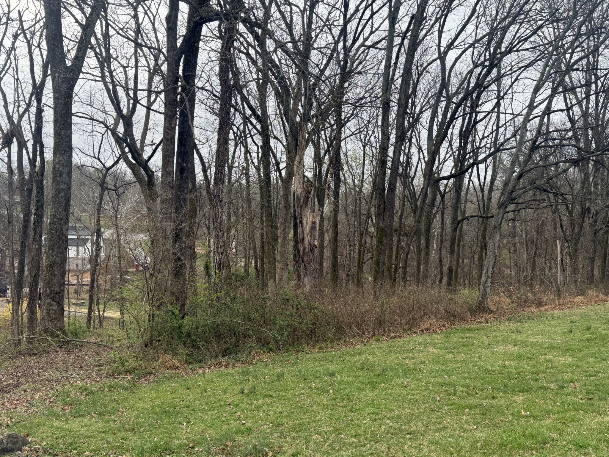 1930 Arlington Road Lebanon, TN 37087 - Photo 8 of 24 a view of backyard with trees