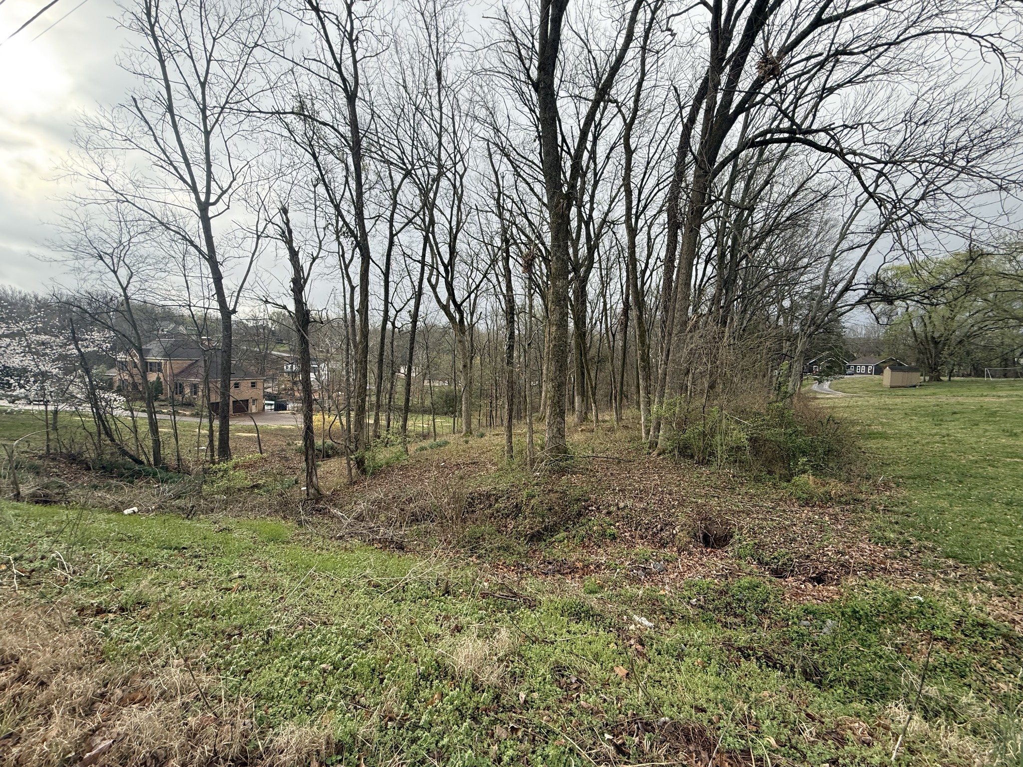 1930 Arlington Road Lebanon, TN 37087 - Photo 10 of 24 a view of a forest with trees in the background
