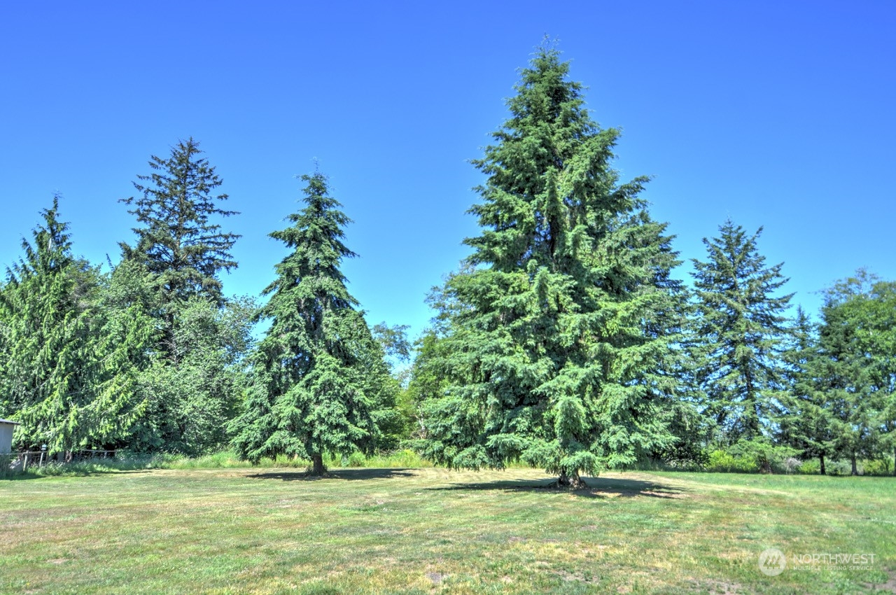 -xxx Devonshire Road Montesano, WA 98563 - Photo 2 of 8 a view of a green field with wooden fence