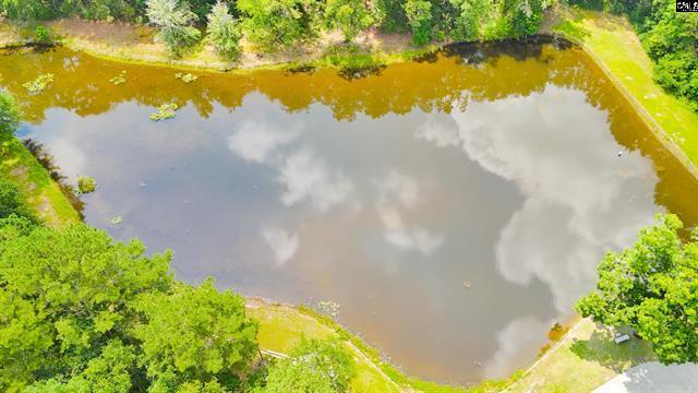 5404 Fairview Road Leesville, SC 29070 - Photo 15 of 36