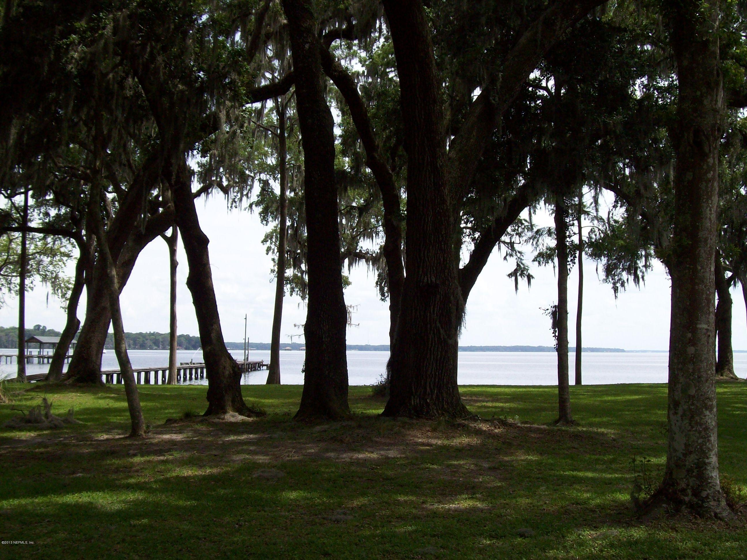 12901 Reggie Road Jacksonville, FL 32223 - Photo 42 of 50 An Amazing Canopy of Trees