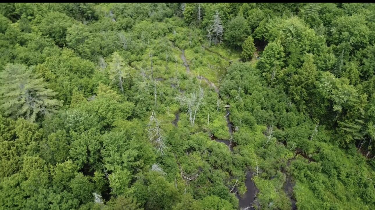 Lot 14 Hanslip Road Wilton, ME 04294 - Photo 5 of 11
