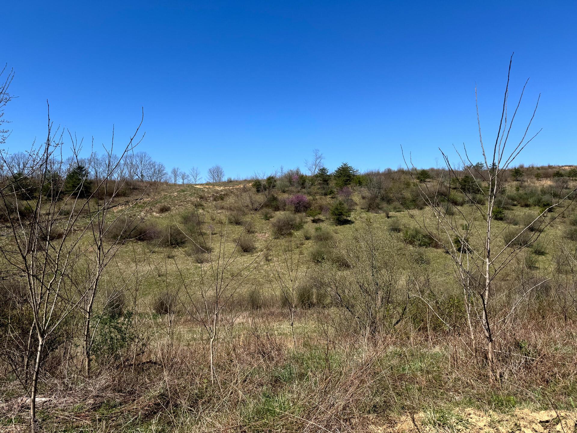 0 Sulphur Spring Road Southeast, Unit 105 ACRE SULPHUR SPRINGS) New Lexington, OH 43764 - Photo 13 of 30 CT-13
