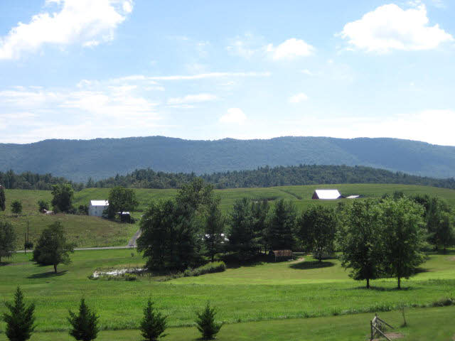 12452 Millertown Road Fulks Run, VA 22830 - Photo 4 of 25 Gallery Image 4