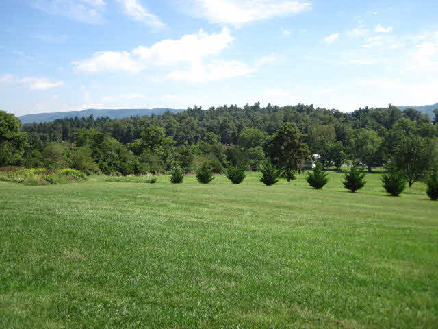 12452 Millertown Road Fulks Run, VA 22830 - Photo 5 of 25 Gallery Image 5
