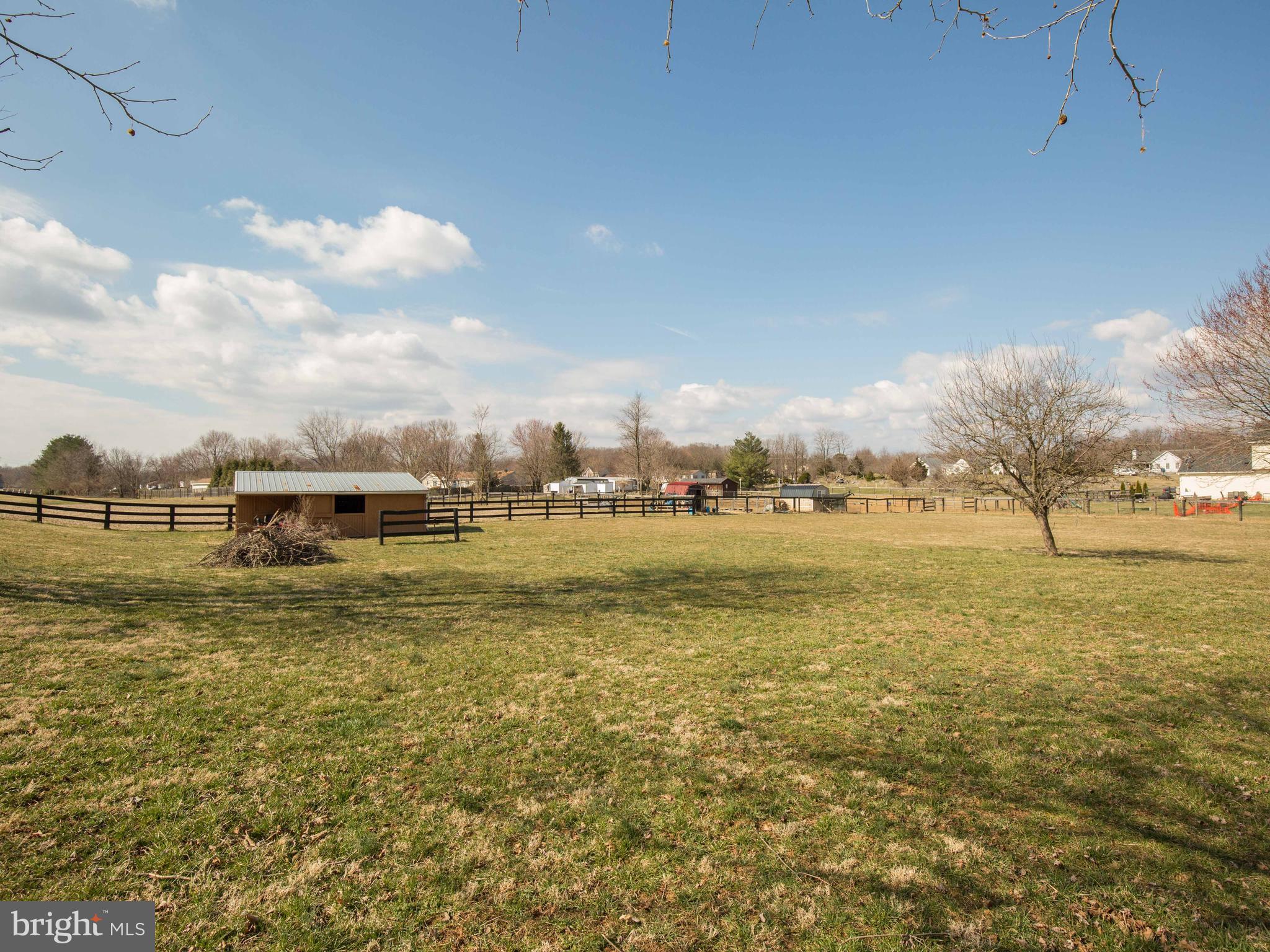 401 Green Spring Road Winchester, VA 22603 - Photo 53 of 60 Run in shed and pasture area