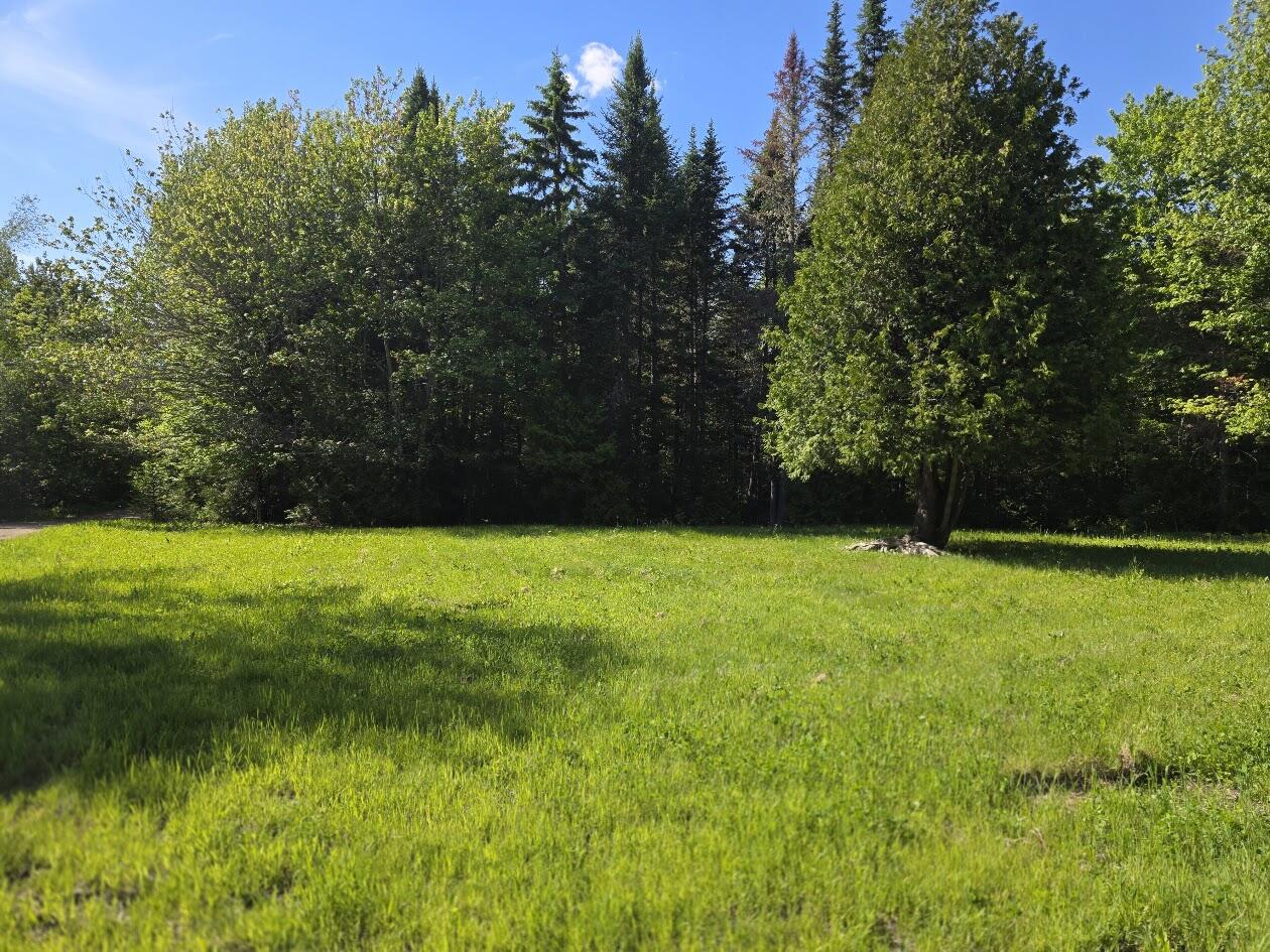 Lot 10 Davis Brook Road Amity, ME 04471 - Photo 3 of 12 20260609_160413