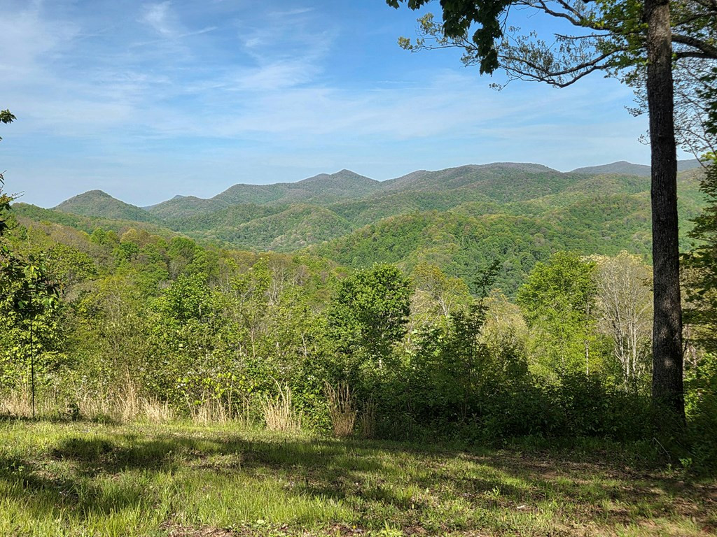 795 Porter Field Gap Road Robbinsville, NC 28771 - Photo 28 of 105