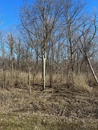 $17,000 | 0 Wilson Avenue South, Depew, NY 14043