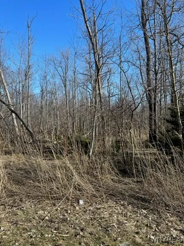 $17,000 | 0 Wilson Avenue South, Depew, NY 14043