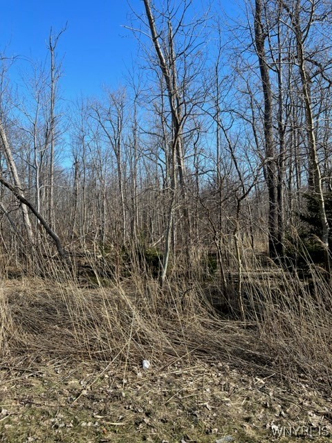 0 Wilson Avenue South Depew, NY 14043 - Photo 2 of 4