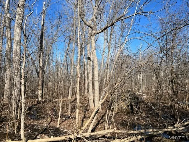 $17,000 | 0 Wilson Avenue South, Depew, NY 14043