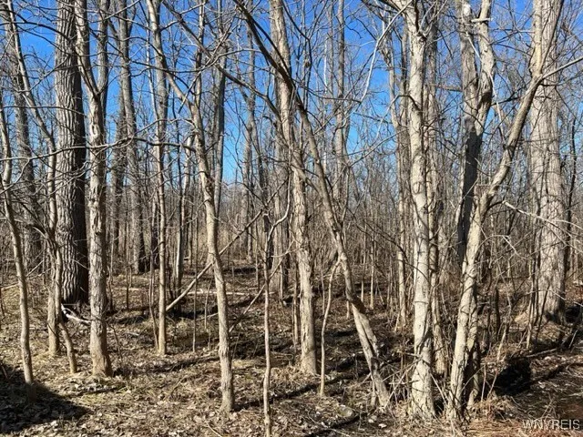 $17,000 | 0 Wilson Avenue South, Depew, NY 14043