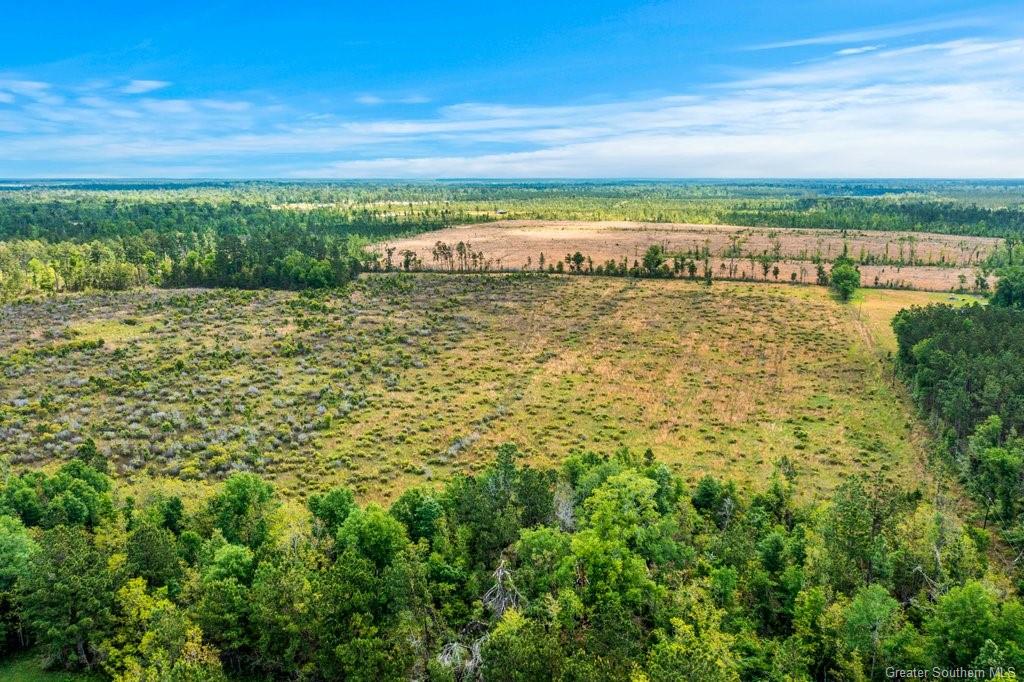 0 Jordan-deville Road Longville, LA 70652 - Photo 14 of 14 Gallery Image 14