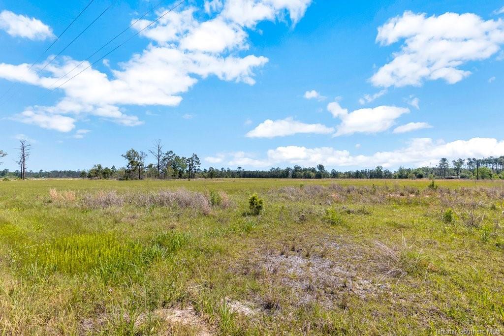 0 Jordan-deville Road Longville, LA 70652 - Photo 2 of 14 Gallery Image 2