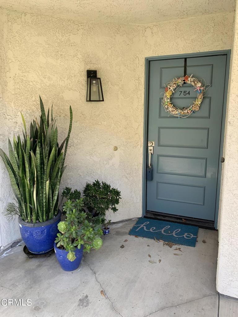 a potted plant sitting in front of a door
