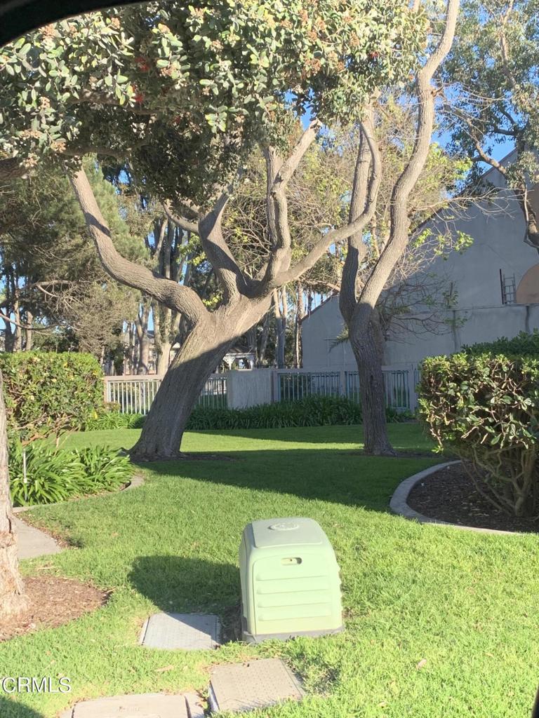 754 Island View Circle Port Hueneme, CA 93041 - Photo 11 of 67 a view of a park with a tree
