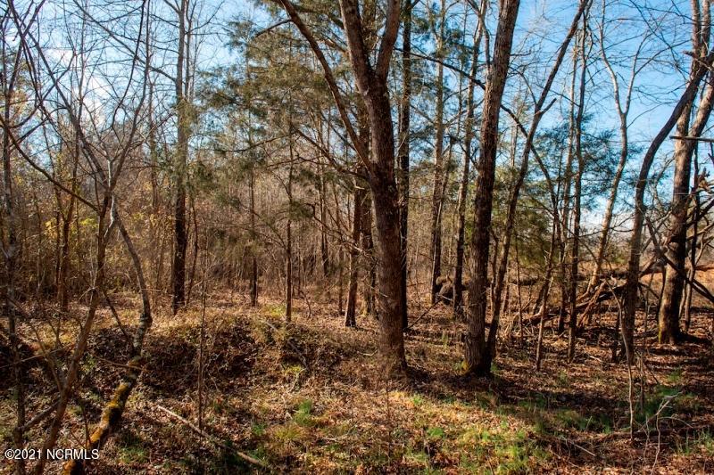 0 Allie Mae Road Cedar Grove, NC 27231 - Photo 8 of 24 9
