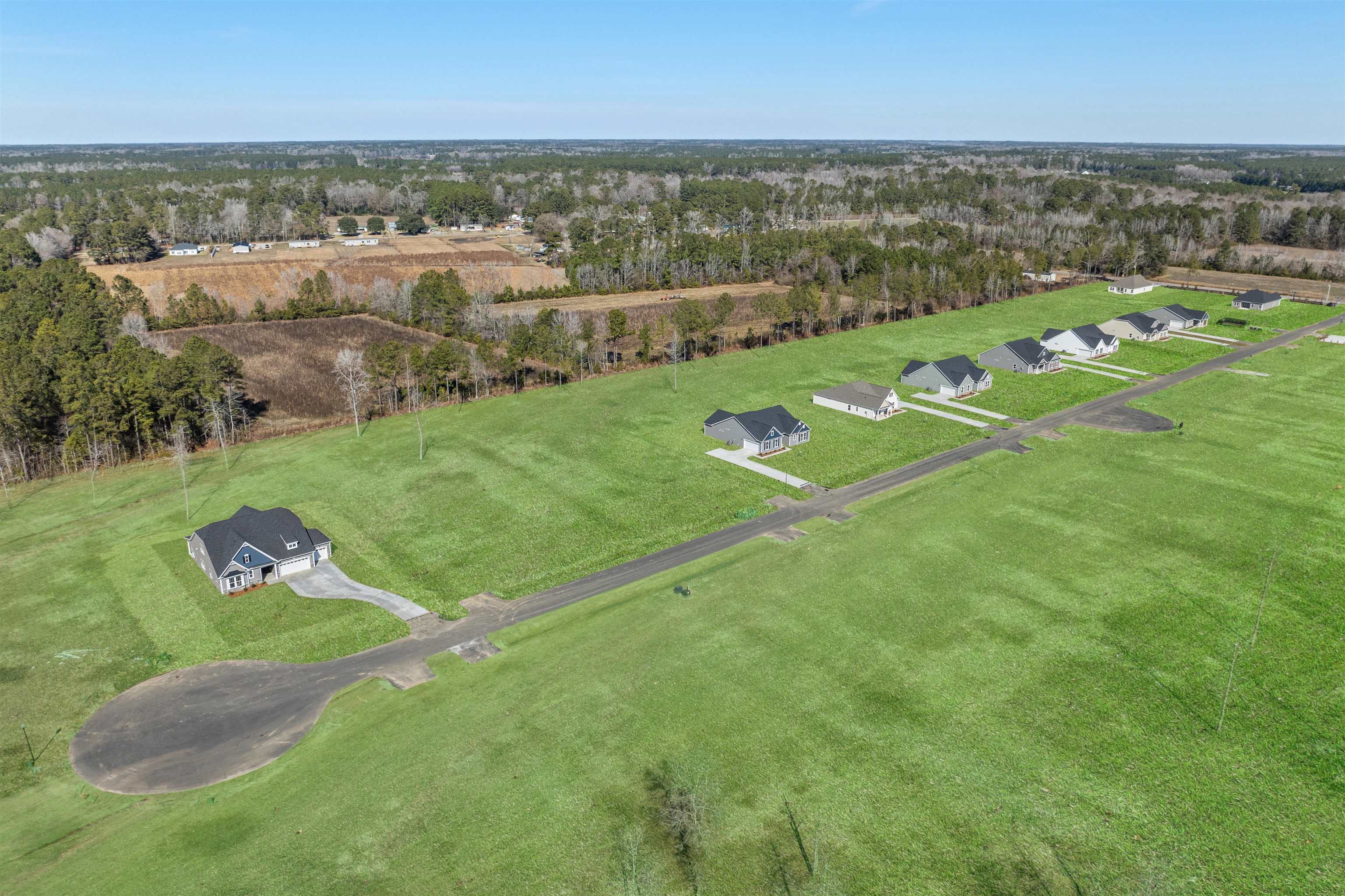 148 Furnies Place Conway, SC 29526 - Photo 3 of 28