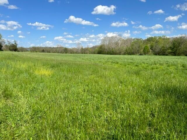 4897 Belmont Road Brooksville, KY 41004 - Photo 7 of 11 Gallery Image 7
