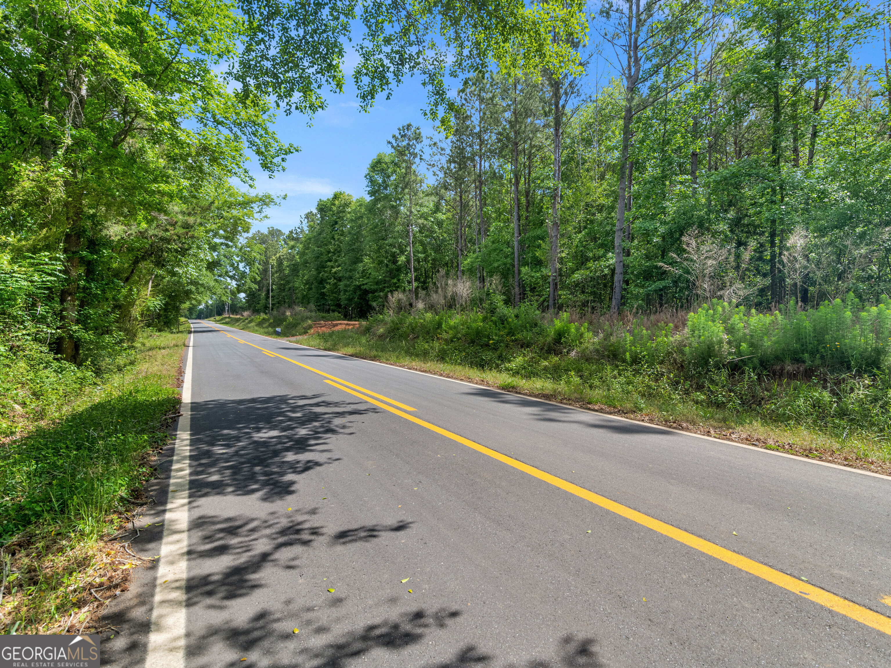 446 Parks Road Forsyth, GA 31029 - Photo 11 of 11 a view of a road with a trees