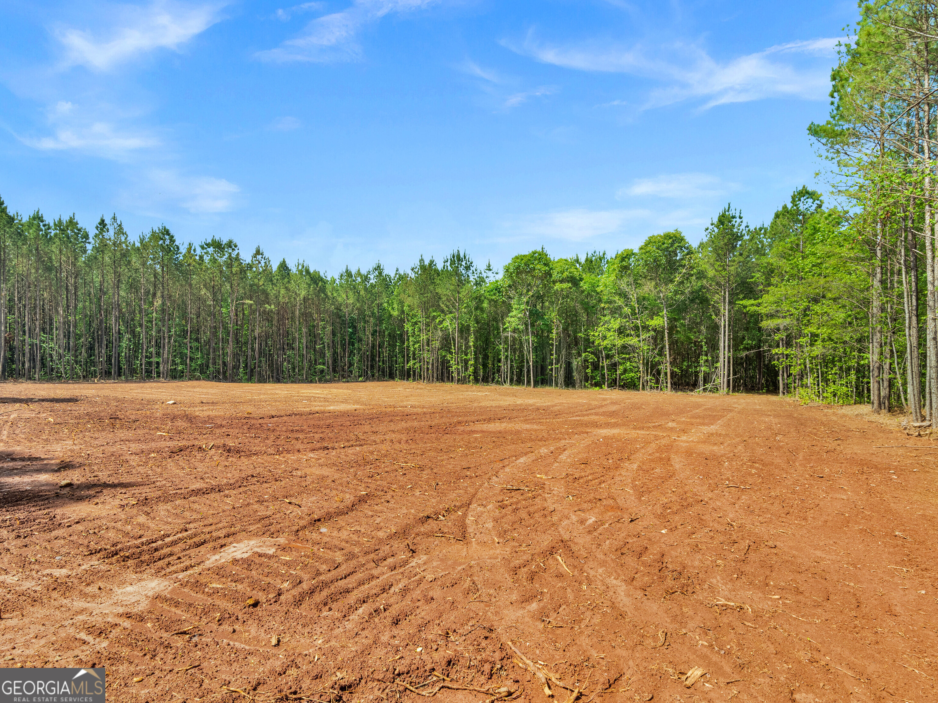 446 Parks Road Forsyth, GA 31029 - Photo 2 of 11 a view of mountain view with a dry yard